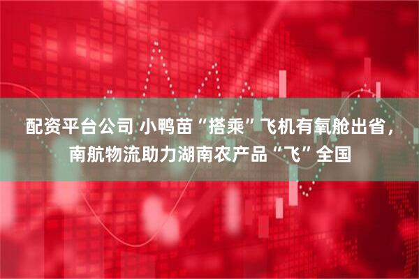 配资平台公司 小鸭苗“搭乘”飞机有氧舱出省，南航物流助力湖南农产品“飞”全国